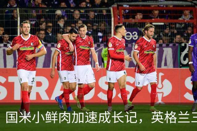 国米小鲜肉加速成长记，英格兰三斯慢半拍，小斯坦耐心等候！
